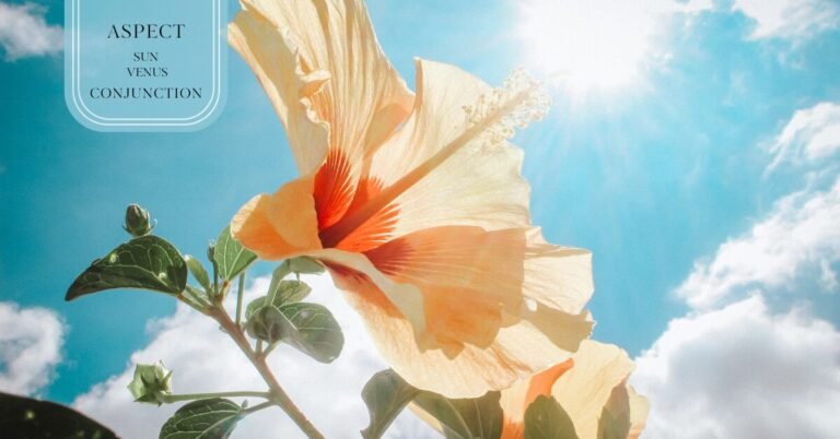 Sun conjunct Venus: 3 Ways to Shine with Your Natal Chart